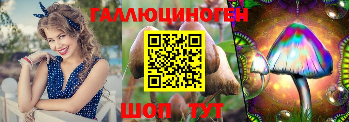 Галлюциногенные грибы GOLDEN TEACHER  Вход с VPN  Галлюциногенные грибы мухоморы  Касимов 